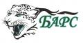 Барс